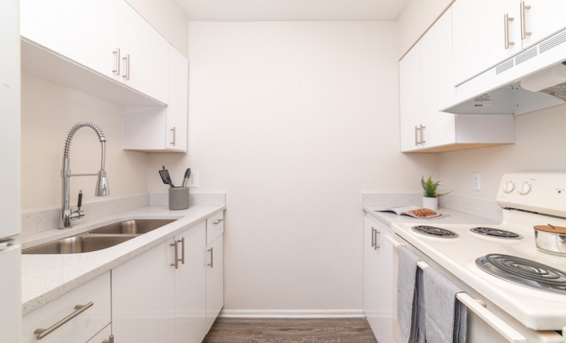 1 Bedroom Large - 1 bedroom floorplan layout with 1 bathroom and 600 square feet
