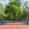 Pickleball Court